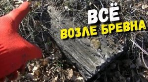 УРАААА! КЛАД СОВЕТСКИЙ И ЗАКЛАДНЫЕ МОНЕТЫ, всё было возле бревна