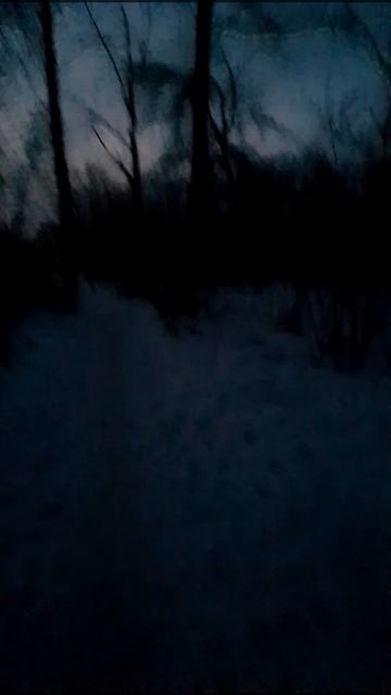 Ночная прогулка