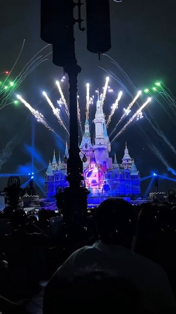 Welcome to dream✨ #disneyland #shanghai #china #disney #dream #travel смотреть онлайн
