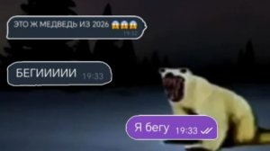 переписка медведь из 2026 (флайге)