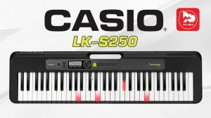 Доступный синтезатор CASIO LK-S250 (серия Casiotone, подсветка клавиш)
