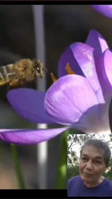 С каким продуктам нужно есть мёд смотреть онлайн