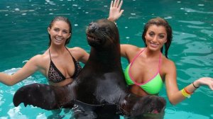 ✅ ПРИКОЛЫ С ЖИВОТНЫМИ 2025 — СМЕШНЫЕ МОМЕНТЫ, РЖАКА ДО СЛЁЗ 😂🐾