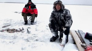 Ничего себе, НАДУБАСИЛИ РЫБЫ в морозяку! Декабрь, озёра ХМАО.