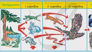 Задание 19. Экологическое описание вида. ОГЭ по биологии.