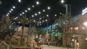 Ух,как высоко!Летная школа для смелых, аттракционы  для отважных, как Маугли в стране динозавров