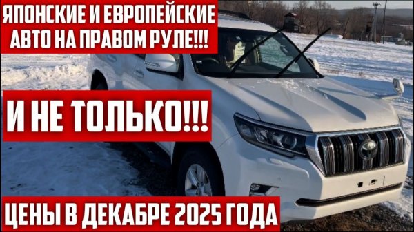Авторынок Хабаровска на Монтажной. Декабрь 2025г.
