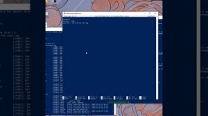 Выполнение лабораторной работы №5. Трифонова Алина. НПИ-02-23