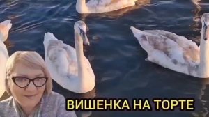 САЙБЕЛЬ ЭТО ТРЭШ! ЕКАТЕРИНА САЙБЕЛЬ. ОБЗОР.