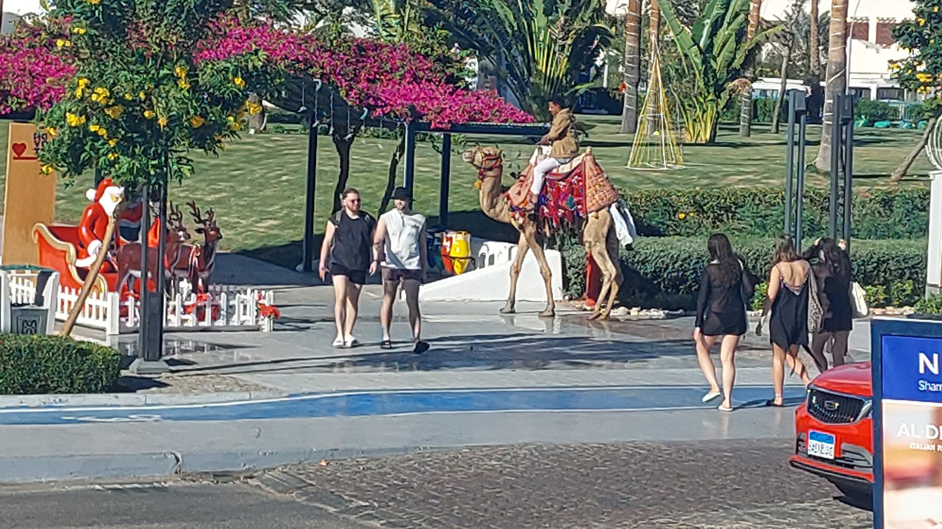 Прилетели в Египет