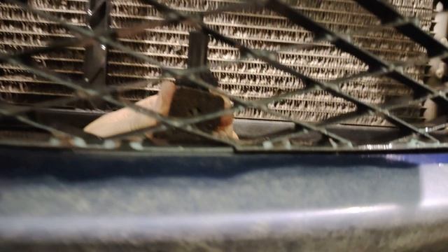 Mazda 3 bk 2004 г.в. хетчбек Снятие переднего бампера