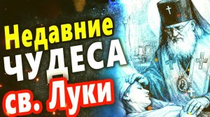 Современные чудеса святителя Луки Крымского реальные истории помощи и исцелений
