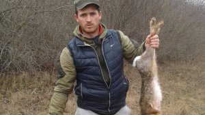 Охота на зайца