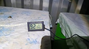 +9 в градусов в новом зимовнике! Что с пчёлами при такой температуре 🤔