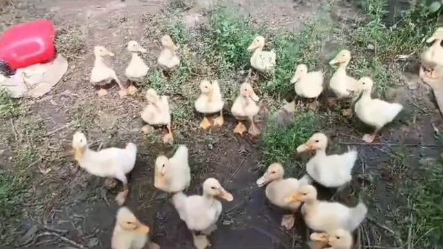 1000250294.mp4 смотреть онлайн