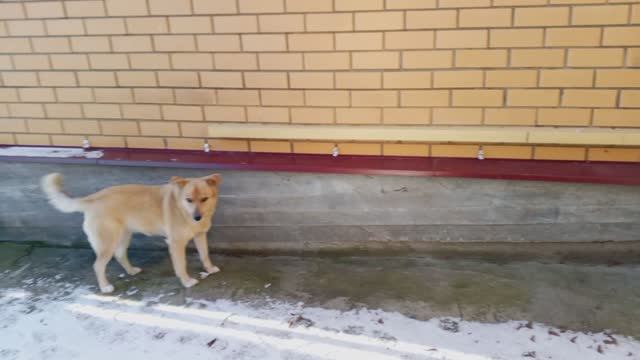 15-12-2025 Дневник