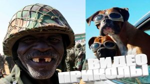 ВИДЕОПРИКОЛЫ \ КРУТЫЕ ПРИКОЛЫ 2025 \ НОВЫЕ ПРИКОЛЫ \ СМЕШНЫЕ ПРИКОЛЫ 2025 ЮМОР