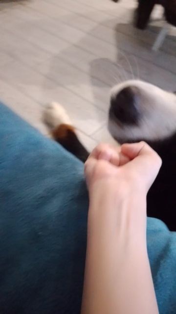 развел как лоха