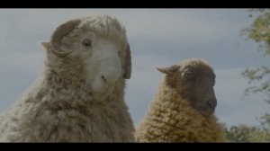 «Овечий детектив» (The Sheep Detectives, 2026) HDR