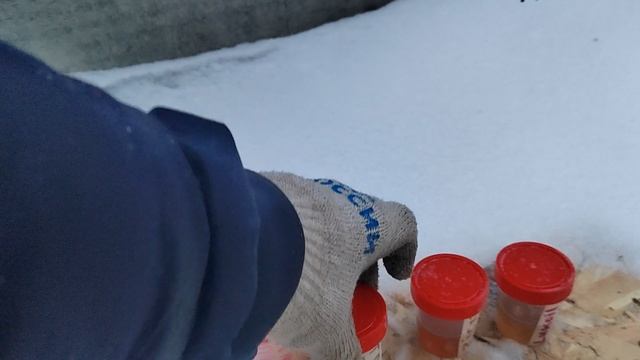 Тест моторных масел в - 22