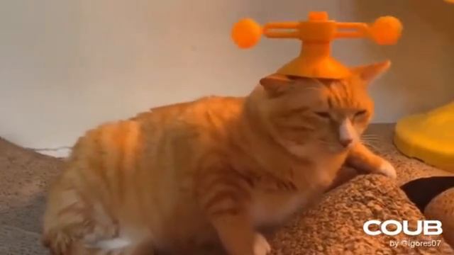 Видео 3 смотреть онлайн