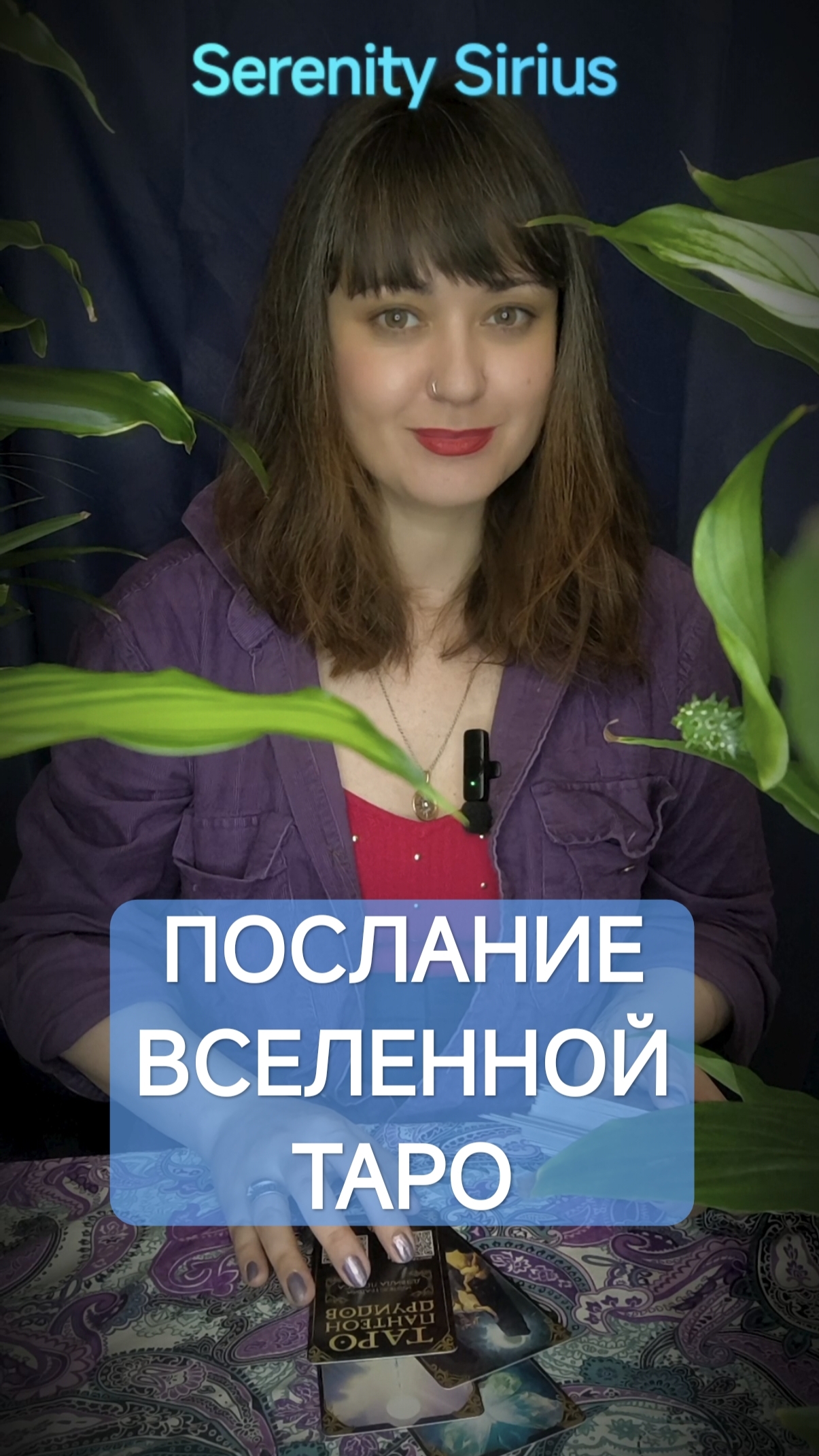 Послание вселенной таро расклад на будущее советы высших сил смотреть онлайн