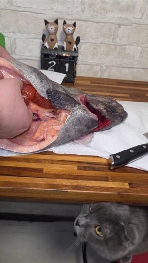 Киндер Сюрприз для взрослых #форель #краснаяикра #новыйгод