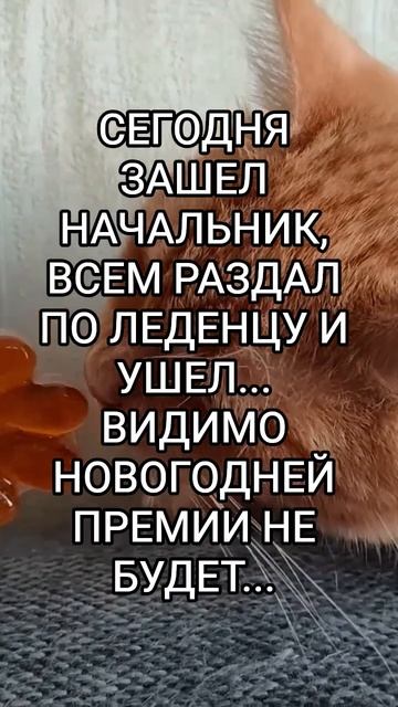 А вы ждете премию? #премия #начальник #леденец #юмор #прикол #папатрехпринцесс #шутка #смех