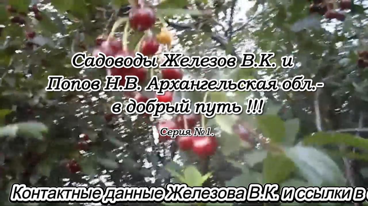 Садовлды Железов В.К. и Попов Н.В. Архангельская обл.- в добрый путь !!! Серия №1. смотреть онлайн