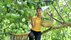 Собираю урожай желтых лимонов и несу их на рынок для продажи. Забочусь о кроликах. Дуонг. Вьетнам