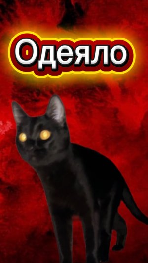 Что с ним произошло? 🙀 #кот #кошка #котики #животные #ужасы #страшно #ужастик