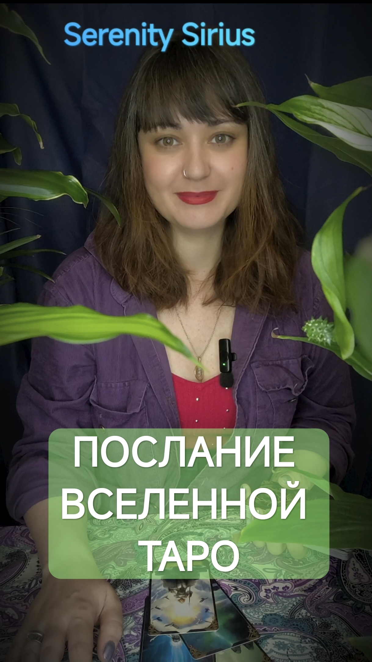 ПОСЛАНИЕ ВСЕЛЕННОЙ ТАРО РАСКЛАД НА БУДУЩЕЕ СОВЕТЫ ВЫСШИХ СИЛ смотреть онлайн