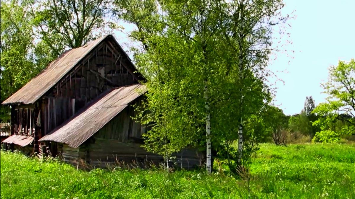 Летним днём смотреть онлайн