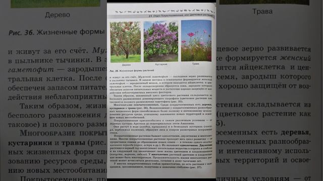 Биология 7 класс В.В. Пасечник. §9 Отдел Покрытосеменные, или Цветковые, Растения.