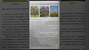Биология 7 класс В.В. Пасечник. §9 Отдел Покрытосеменные, или Цветковые, Растения.