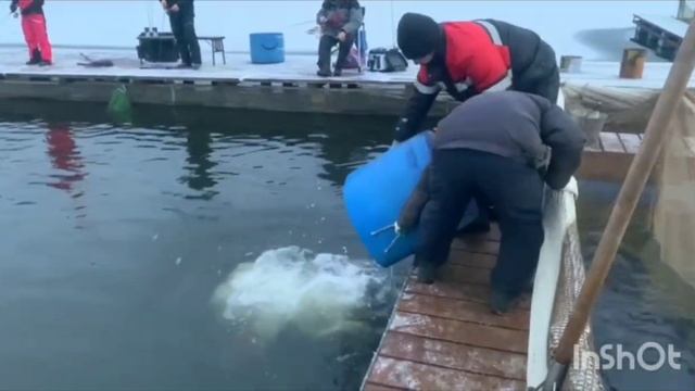 document_5350398158293731603 смотреть онлайн