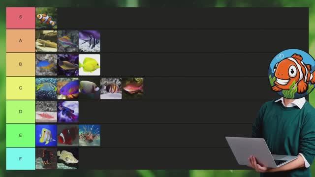 Морской аквариум- Рейтинг популярных рыбок