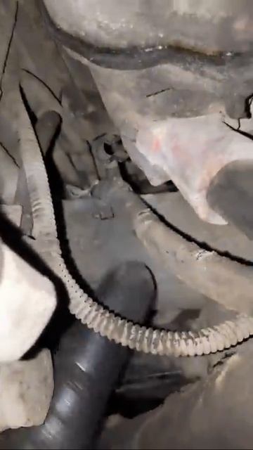 ПРОСТЕЙШИЕ ОШИБКИ! RANGE ROVER IV (L405) смотреть онлайн