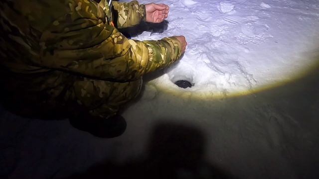 Уехала с друзьями на рыбалку/ Налим, судак, подруга 🤣🤣🤣🤣😌😌 смотреть онлайн