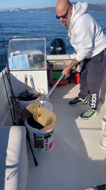 Гигантский монстр пойман в Чёрном море. смотреть онлайн