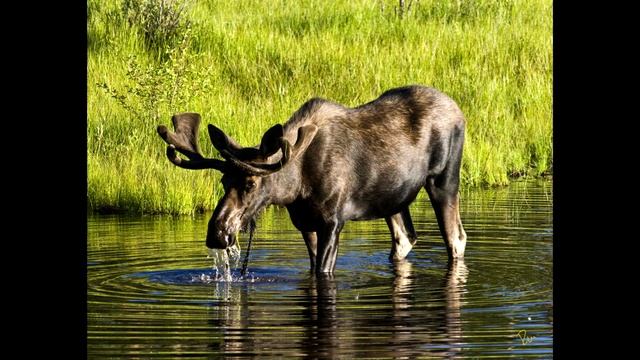 Дальний Восток смотреть онлайн