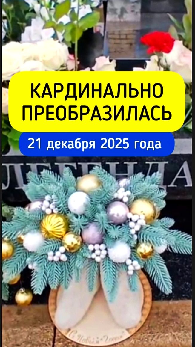 предновогодние перемены на могиле Юрия Шатунова #shorts #шатунов #белыерозы #ласковыймай #новыйгод смотреть онлайн