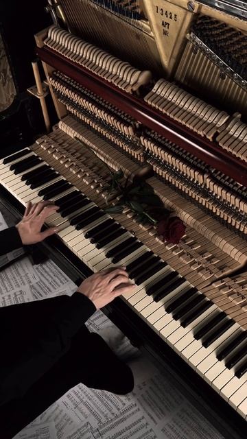 Solas by Jamie Duffy❤️ смотреть онлайн