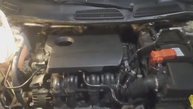 Декоративная крышка двигателя Sigma для Ford Fiesta/EcoSport. Abdeckung Ford Sigma Motor
