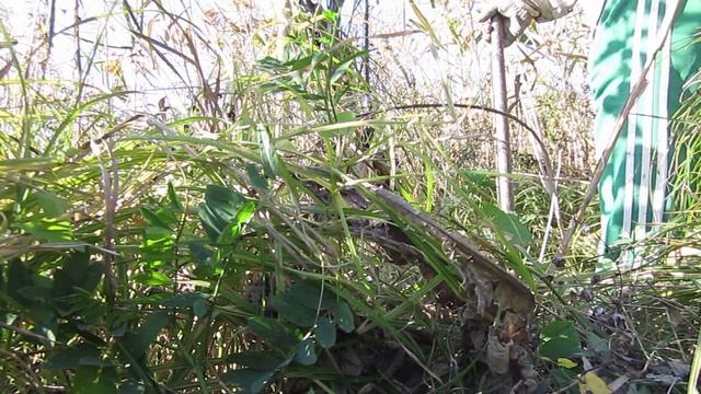 ГДЕ НАЙТИ ВОДУ на бугре смотреть онлайн