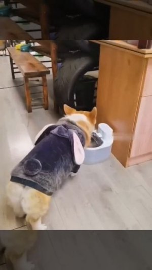 Не уходи, сейчас продолжим!😁