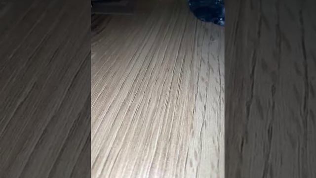 78800803994__A974FFB2-500A-4DF0-8356-15485C917EA1 смотреть онлайн