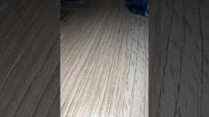 78800803994__A974FFB2-500A-4DF0-8356-15485C917EA1