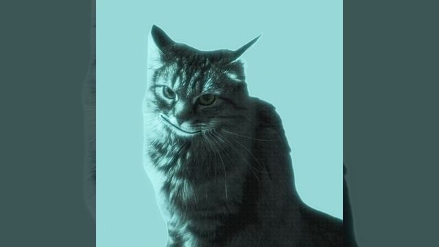 МУЗЫКАЛЬНЫЙ РОЛИК С КЛАССИЧЕСКОЙ МУЗЫКОЙ