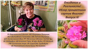 Ожидание и Реальность! Обзор процветших сортов Фиалок! Выпуск 6!